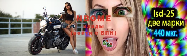 винт Гусь-Хрустальный