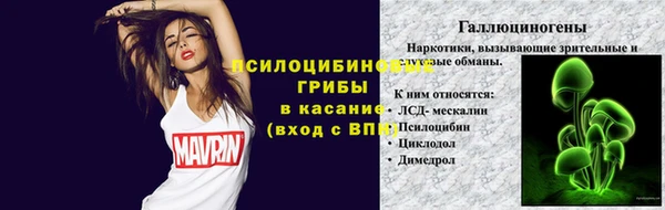 дмт Покачи