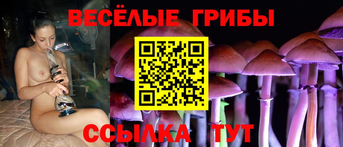 Псилоцибиновые грибы Psilocybe Донской